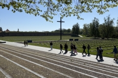 Image-2025-06-03T104019.771