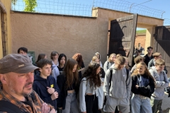 Image-2025-06-03T104025.022