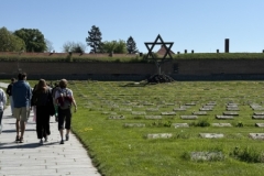 Image-2025-06-03T104027.829