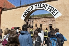 Image-2025-06-03T104031.473