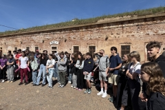 Image-2025-06-03T104035.727